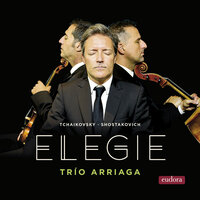 Piano Trio No. 2 in E Minor, Op. 67: II. Allegro con brio - Trio Arriaga & Дмитрий Дмитриевич Шостакович