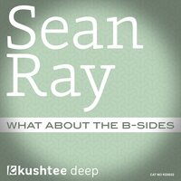 What About The B-Sides - Sean Ray