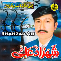 Hathaa Wich Hath Pa Ke - Shahzad Ali