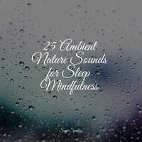 Croaking Creeks - Sleep Songs with Nature Sounds & Ambient Music Therpy & Rain Recorders