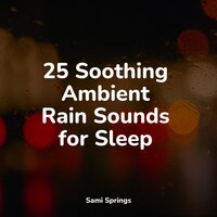 Rain While Driving - Weather Sounds & Yoga Rain & Sleep Waves