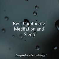 Calm & Chilled - Meditation Relaxation Club & Meditacao Clube & Reiki Music
