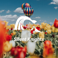 Spring Birds In the Tree's - Silent Knights & Dylan Barnes & Rob Davy & Mark Dowling
