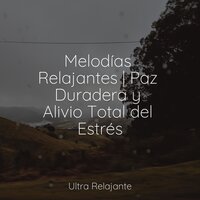 A La Deriva - Música a Relajarse & Fabricantes De Lluvia & Massagem Coleção de Músicas