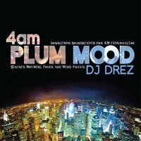 Wildly Calm - DJ Drez