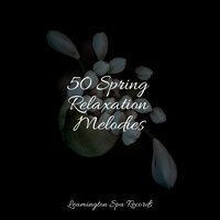 Drifting Off - Deep Sleep & Spa & Study Music Library