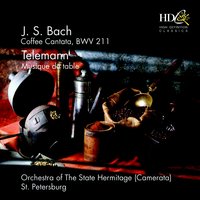 Coffee Cantata, BWV 211 : Aria (basso) - St. Petersburg Orchestra of the State Hermitage Museum Camerata & Saulus Sondetskis & Johann Sebastian Bach