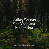 Amongst the Stars - Asian Zen Spa Music Meditation & Binaural Beats Brainwave Entrainment & Entspannungsmusik Meer