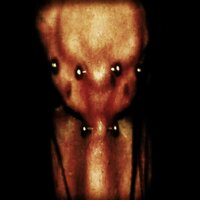 MNOGO - 9mice