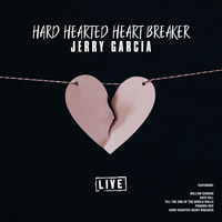 Land Of The Navajo - Jerry Garcia