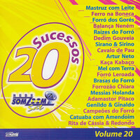 Você Não Me Ensinou a Te Esquecer - Mastruz Com Leite