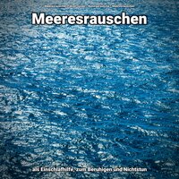 Naturgeräusche zum Einschlafen - Meeresrauschen Fabian Seidel & Naturgeräusche & Meeresrauschen
