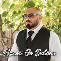 Mama Ce Bulane - Florin Mitroi