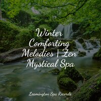 Starting Today - Tinnitus Aid & Deep Sleep Brown Noise & Nature Sounds Radio