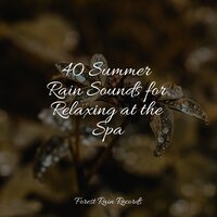 Rainy Night - Baby Sweet Dream & Nature Recordings & Rain Forest FX