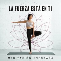 Pensamientos, Sentimientos & Sensaciones - Relaxar Meditação Clube