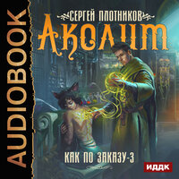 Как по заказу. Книга 3. Аколит. Часть 10 - Шабров Дмитрий