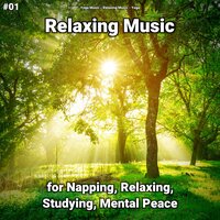 Relaxing Music Part 31 - Yoga Music & Relaxing music & Yoga