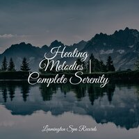 Calm Seas - Study Music & Sounds & Academia de Música para Massagem e Relaxamento & Thunder Storm