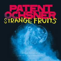 Hotelsong - Patent Ochsner