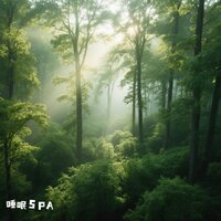 自然钢琴曲（白噪音放松） - 睡眠SPA