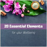 Bright New Day - Wellness n Wellness