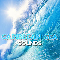 Relaxing Caribbean Beach - Caribbean Sea Sounds & The Sea Soundscapes & Nature Sounds 3D & Nature Scenario Sounds & Nature Sounds FX & Calming Nature Sound FX