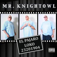 Don't Say - Mr. Knightowl