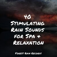 Camping Kettle on the Fire - Entspannungsmusik Meer & Rain Shower Spa & Regengeräusche