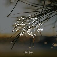 Wetland, Rain, Puddle, Frogs - Spa Music Collective & Nature Sounds Artists & Spa Relaxation