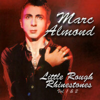 Erotic Shopping - Marc Almond