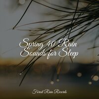 Gentle Rain Drops - Deep Sleep Systems & Water Spa & Nature Sounds XLE Library