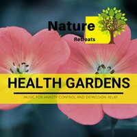 Immaculate Classical - Meditation Atmospheres & Power Yoga Nature Sounds