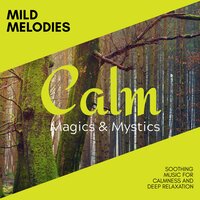 Optimum Discovery - Relaxing Minds