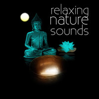 Celtic Spa Music - Amazing Spa Universe