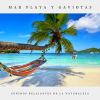 Mar Playa Y Gaviotas, Pt. 04 - Sonidos Relajantes de la Naturaleza