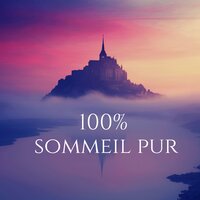 Humeur parfaite - Meditation Music Zone