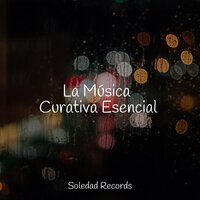 El Comienzo Tranquilo - Música De Relajación Para Dormir Profundamente & Musica Para Dormir & Canciones de Cuna para Bebés Acadèmico