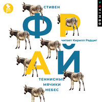 Стивен Фрай. «Теннисные мячики небес». Часть 42 - Кирилл Радциг