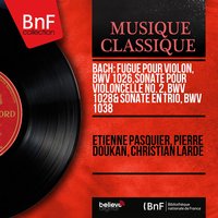 Trio Sonata for Flute, Violin and Continuo in G Major, BWV 1038: III. Adagio - Christian Lardé & Pierre Doukan & Laurence Boulay & Johann Sebastian Bach