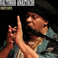 Terra Mar - Valtinho Anastacio