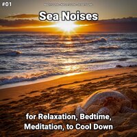 Sea Noises Pt. 9 - Beach Sounds & Nature Sounds & Ocean Sounds