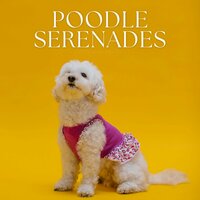 Hamal - Calming Music For Pets