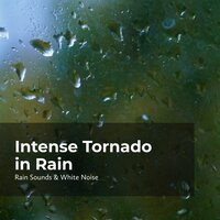 Winswept Rainfall - Rain Sounds & White Noise & Raindrops Sleep & Sleep Rain