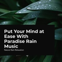 Gloomy Wilderness - Rain Recorders & Rainfall & Nature Rain Relaxation