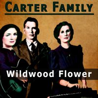 The Storms Are On the Ocean - The Carter Family