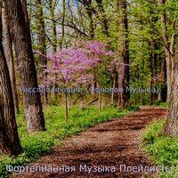 Впечатление (Расслабляющий) - Фортепианная Музыка Плейлисты