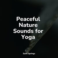 Water, Small, Creek, Close - Relaxing Sleep Sound & Academia de Música para Massagem Relaxamento & Rain Drops for Sleep