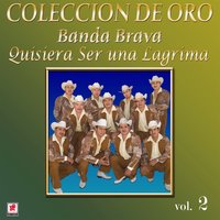 Que Te Lleve el Tren - Banda Brava