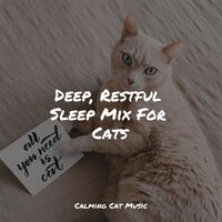 Delta Zen - Cat Music Experience & Music for Cats Project & Music for Cats TA